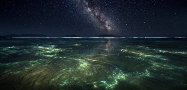 The night shallows off the pearl lease, bioluminescence under the Milky Way